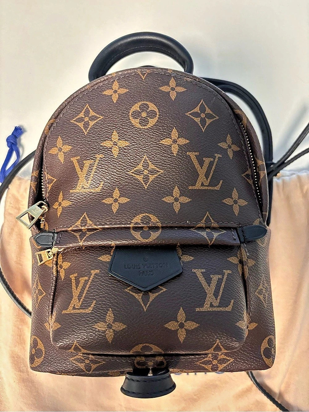 Louis Vuitton Palm Springs Mini Backpack in Brown & Black